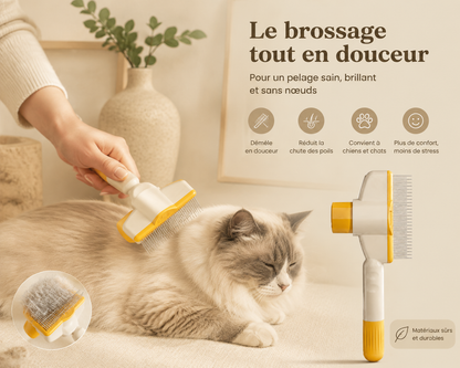 Brosse Pelage Lombeli 2-en-1